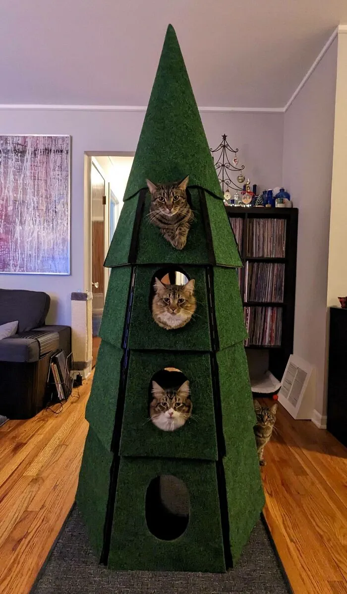 Put Up A Christmas Tree We Encourage Our Cats To Climb