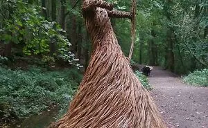 50 Times People Found Something Wild And Unexpected While Strolling Through The Forest