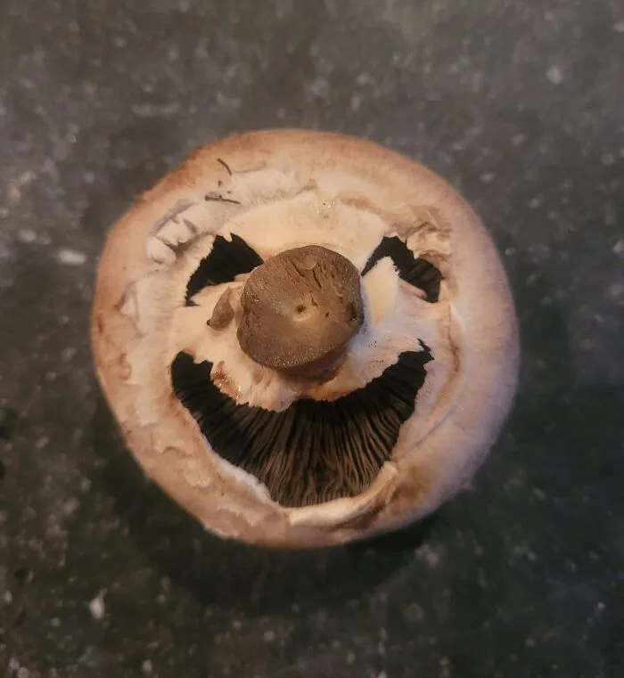 30 Times People Spotted A Face In An Everyday Thing And Just Had To Share It In This Online Group
