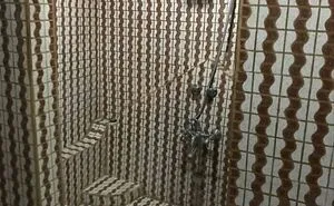 30 Times People Made Such Bad Home Decor Choices, They Got Roasted On This Facebook Group (New Pics)