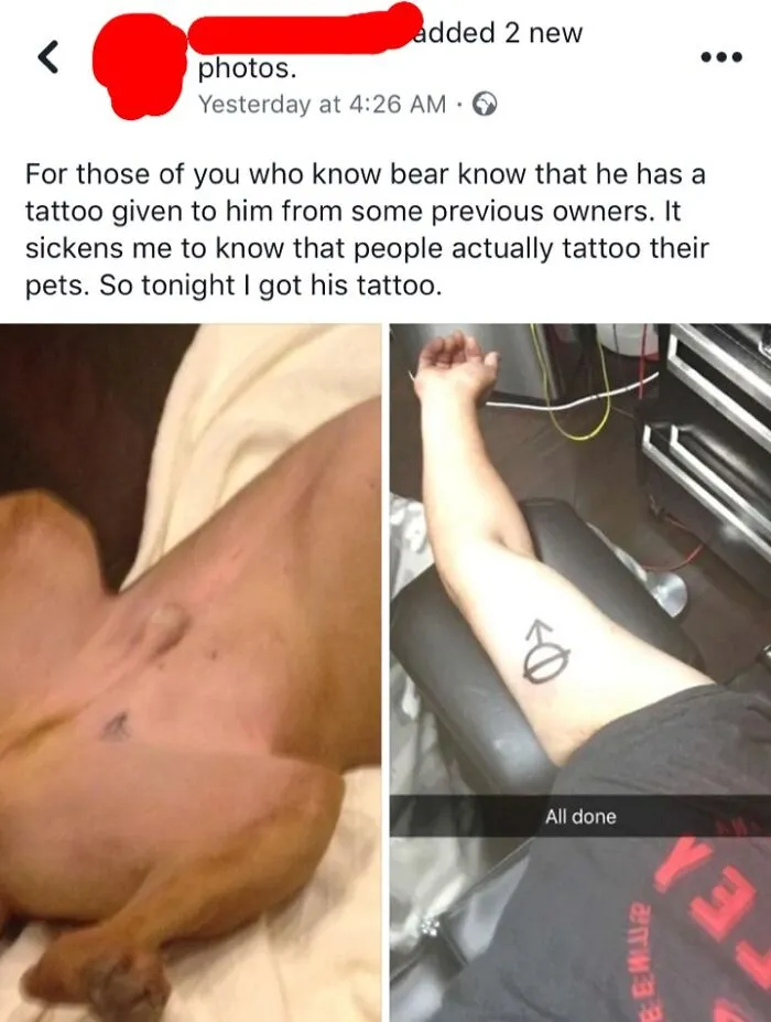 Embarrassing cringe pic of a tattoo on a dog's belly and the same design on a person's arm.