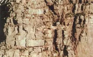 'When You See It': 40 Perfectly Camouflaged Things That Will Probably Take Too Long To Find, As Shared On This Online Group