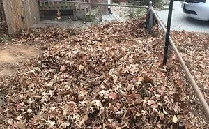 'When You See It': 40 Perfectly Camouflaged Things That Will Probably Take Too Long To Find, As Shared On This Online Group