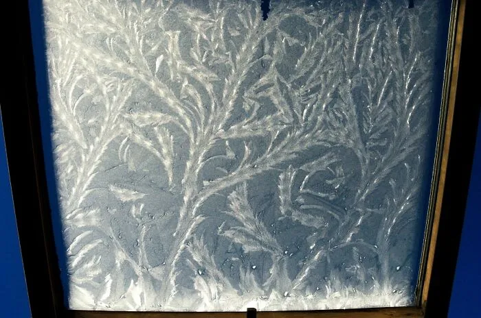 Un hermoso patrón de hielo en mi ventana 
