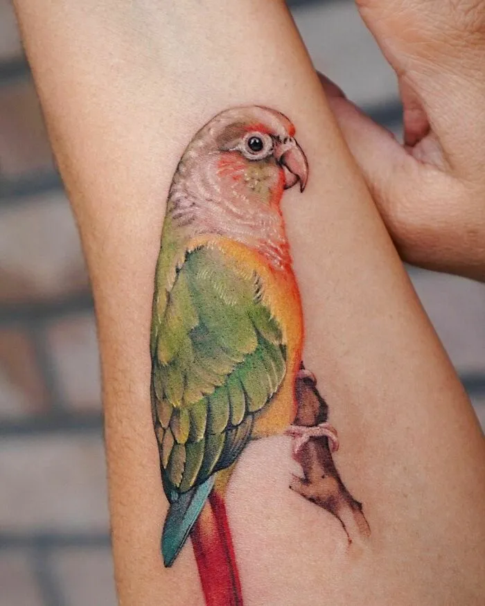 Realistic pet tattoo of a colorful parrot on an arm, symbolizing the bond between humans and pets.