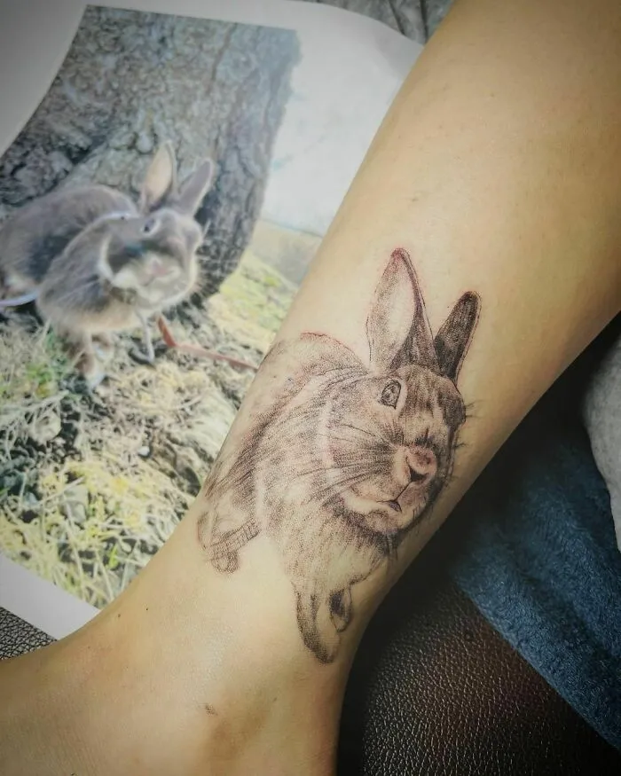 Pet tattoo of a rabbit on a leg, with a photo of the rabbit in the background.