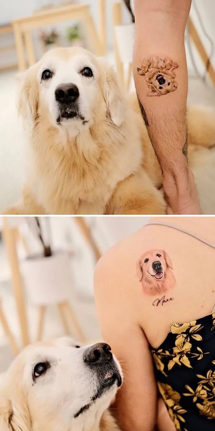 Maxx: Hey Look It’s Me!