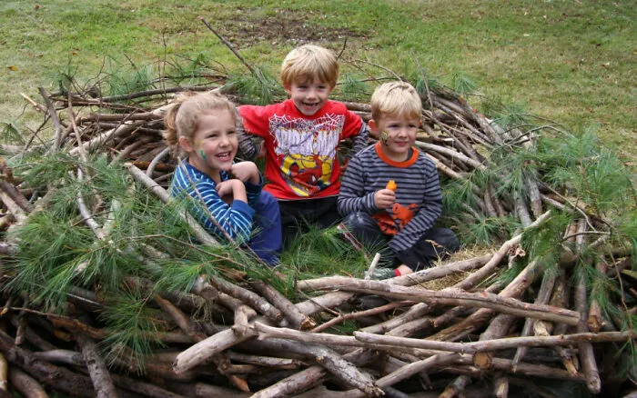 Actual Size Of An Eagle's Nest