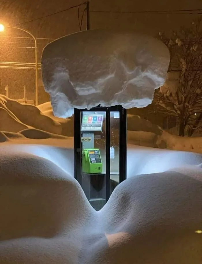 "Surrealismo accidental": 40 imágenes increíbles que tendrás que mirar 2 veces (nuevas fotos)