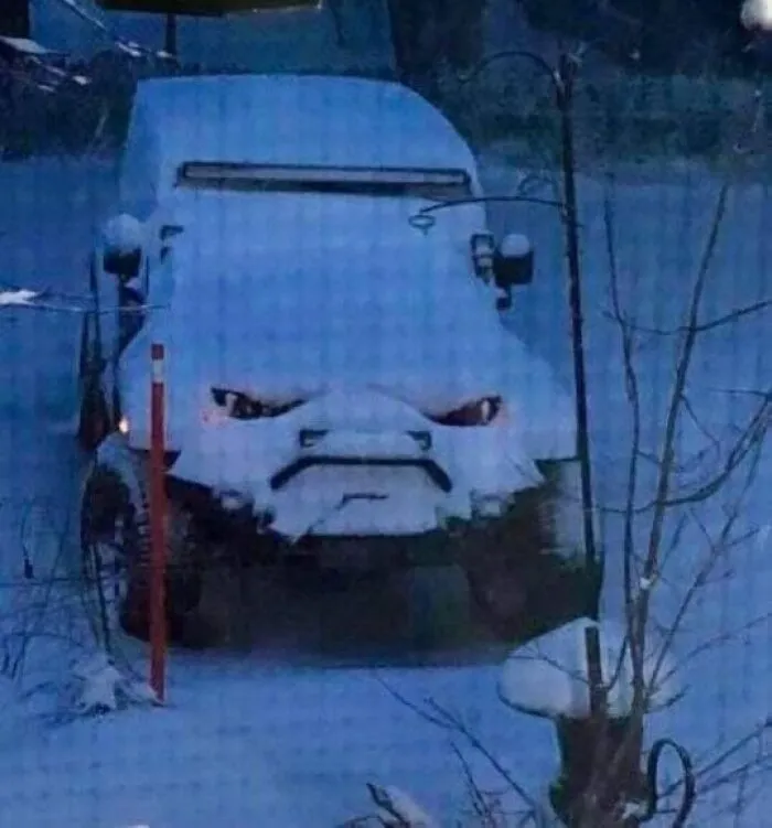 "Surrealismo accidental": 40 imágenes increíbles que tendrás que mirar 2 veces (nuevas fotos)