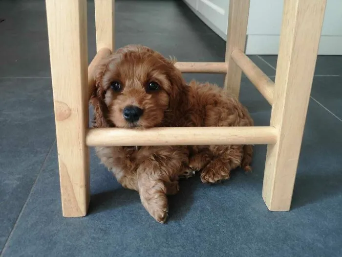 Imprisoned For Ten Thousand Years