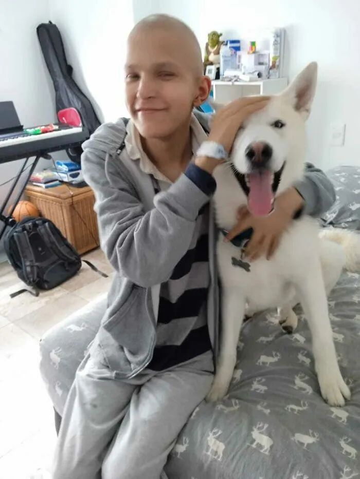 I Recently Finished Chemo Treatment And Decided To Adopt A Husky! Say Hi To Loki!
