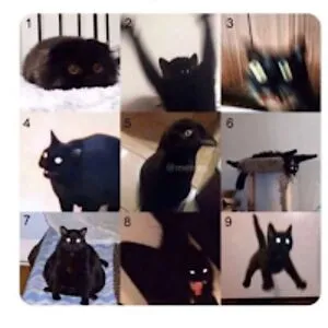 TheAnnoyingFriend