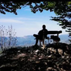 Sale Dronski