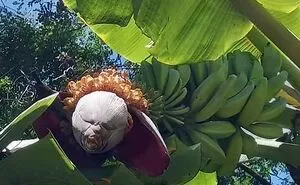 “Oddly Terrifying”: 50 Times People Spotted Creepy Things And Just Had To Share Them (New Pics)