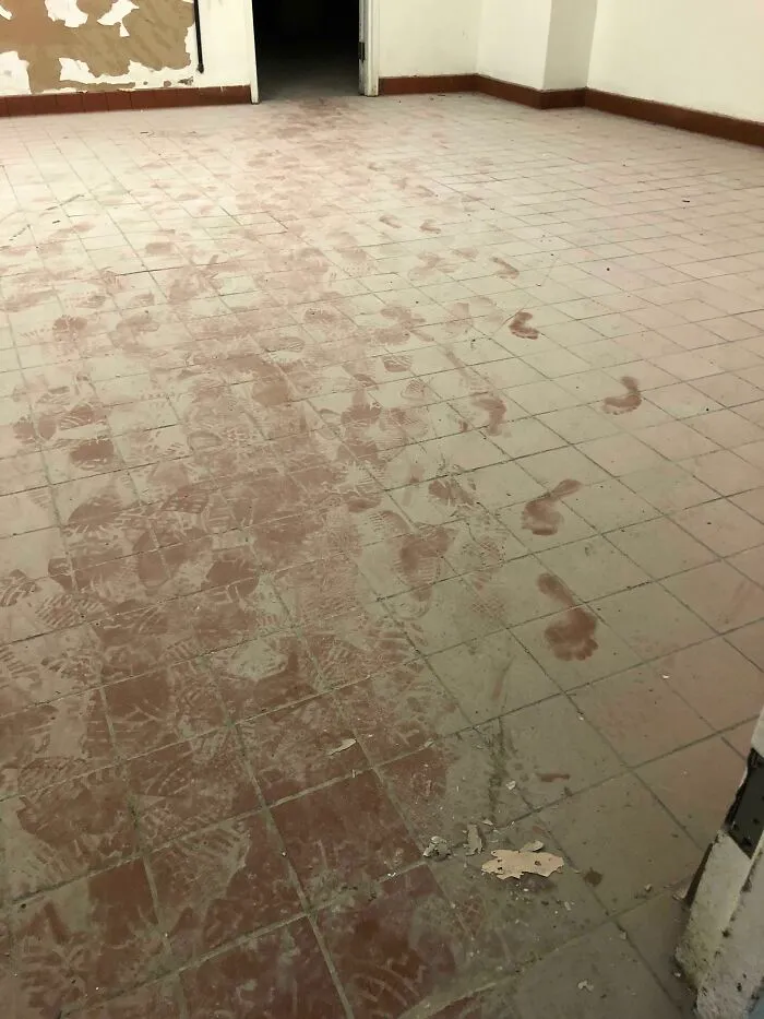 Appears I Had A Visitor While Working Alone In A Large Abandoned Basement…