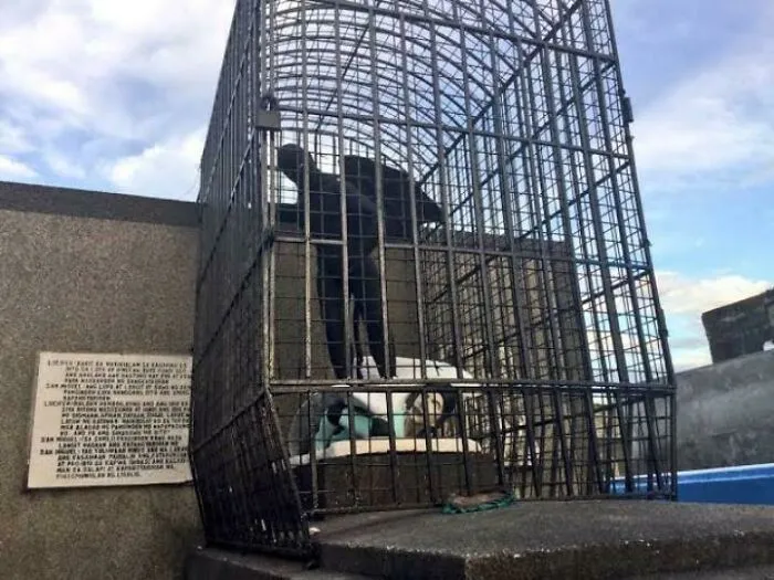 This Statue Of The Devil Defeating The Archangel Michael On Top Of A Tomb That Is Caged Off