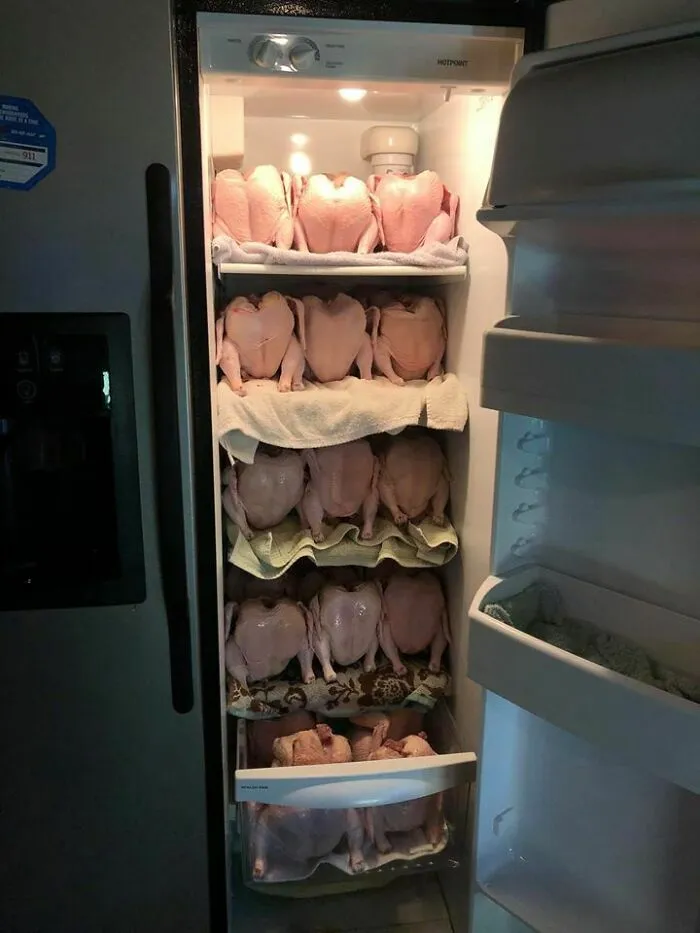 ¿Por qué la gallina cruzó el camino? Hmmm