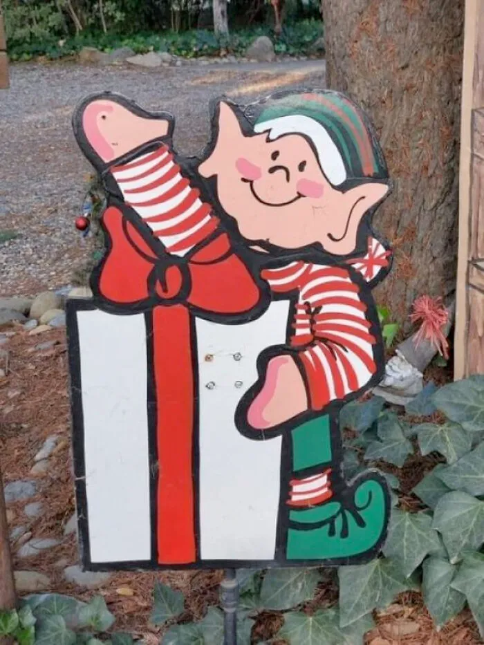 Sale del paquete