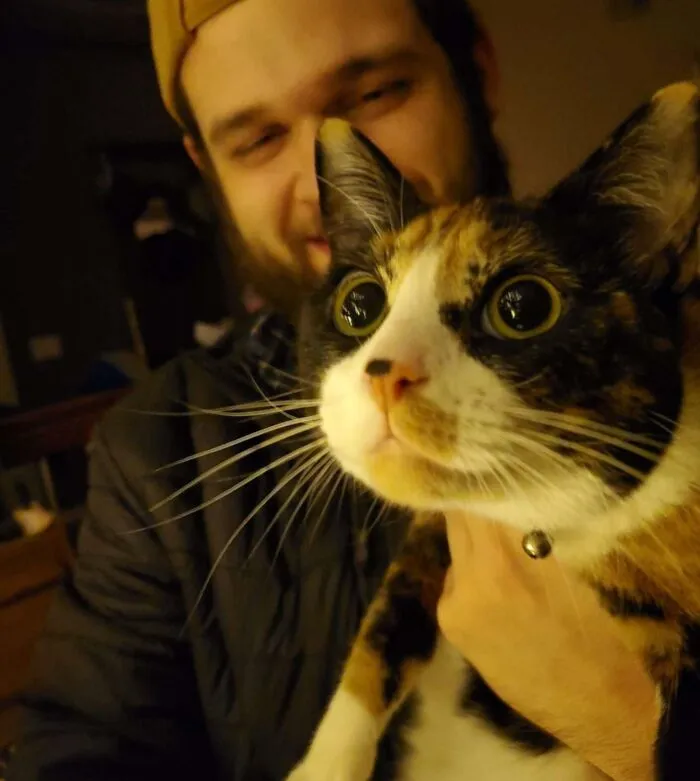Cat Sees A Christmas Tree For The First Time