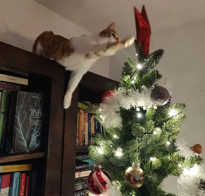 It's Beginning To Feel A Lot Like Christmas