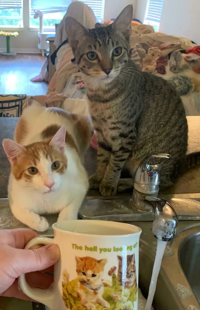 Um, You?
