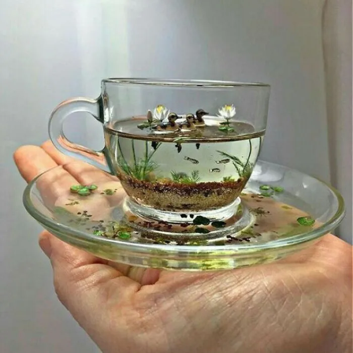 Gorgeous Miniature Duck-Pond-World In Just A Teacup