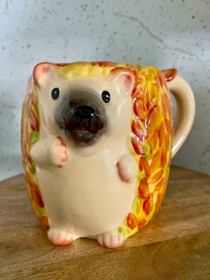 My Favorite Mug I Use Every Fall. If You Zoom In .. It Looks Like Someone Painted Funny Teeth On His Smile