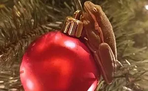 50 Funny And Cute Pets Who Made Or Broke Christmas (New Pics)