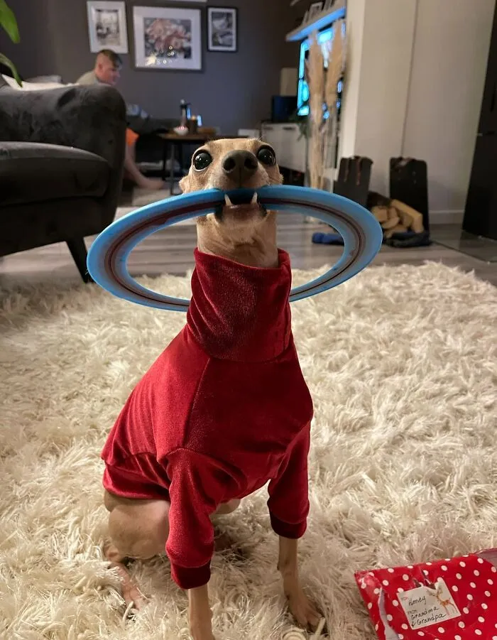 She Got What She Wanted For Christmas