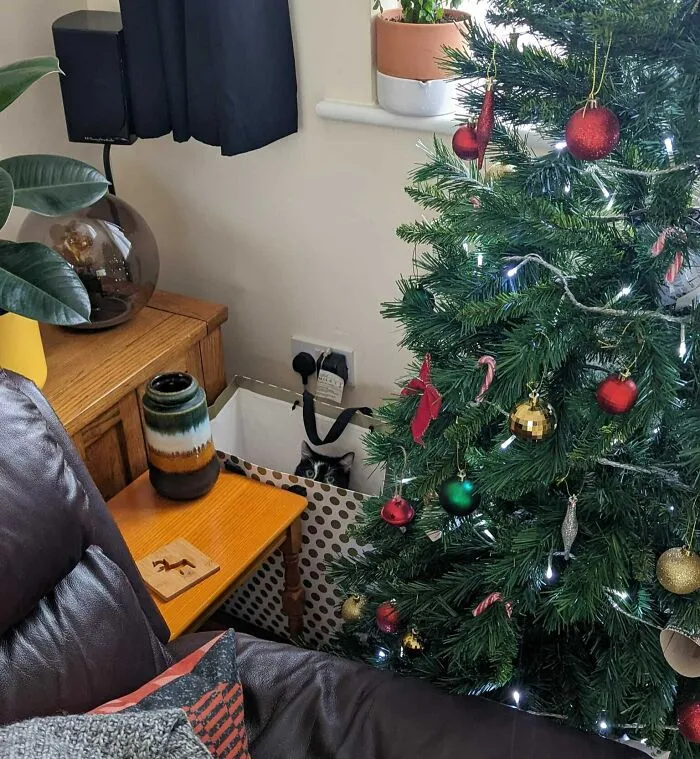 Left The Patio Door Open Briefly For Some Fresh Air. Shortly After, I Heard Some Rustling Behind The Christmas Tree... I Don't Have A Cat