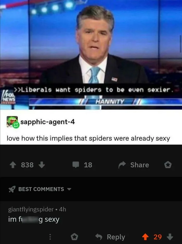 Spider With Some Self Confidence