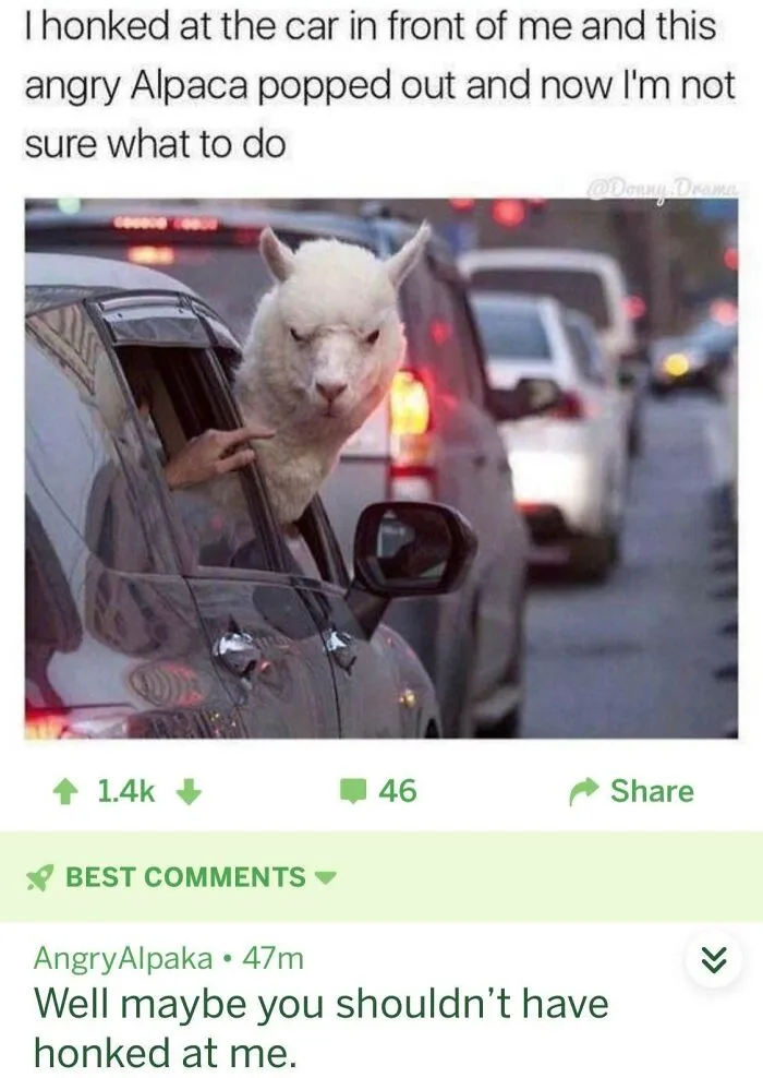 Beep Beep!
