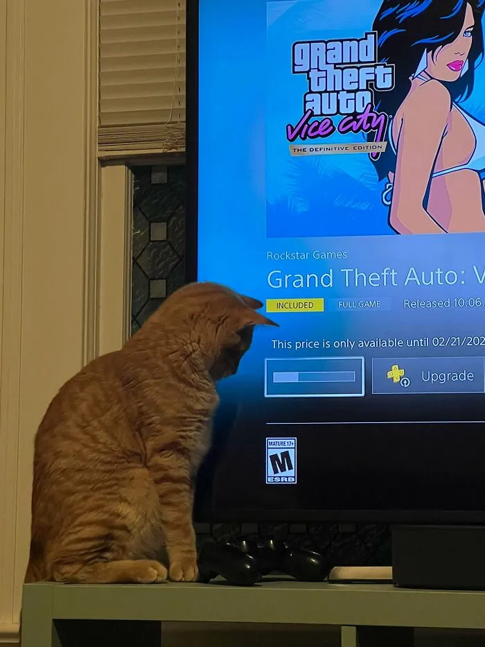Kevin lleva 45 minutos ahí sentado viendo como se descarga un juego