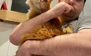 “One Orange Braincell”: 50 Times Orange Cats Acted So Dorky, Their Pics Ended Up On This Online Group