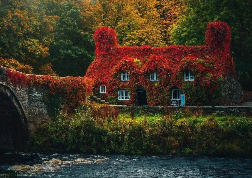 A Beautiful Rainy, Misty Autumn Day From North Wales