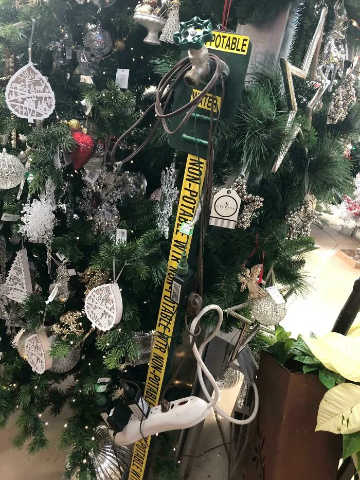 Enchufé los árboles de Navidad, jefe