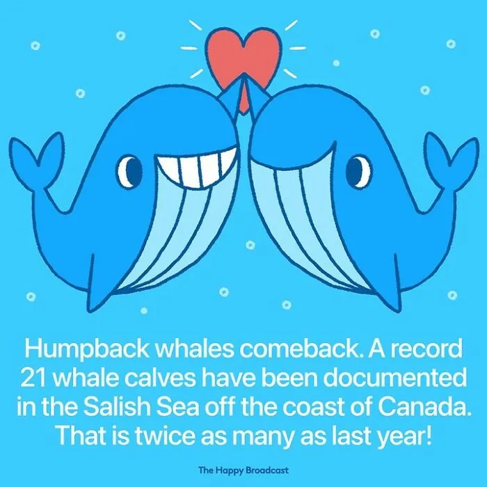 I’m Honestly Fed Up With All The Bad News, So I Illustrated 30 Of The Best Ones From 2022