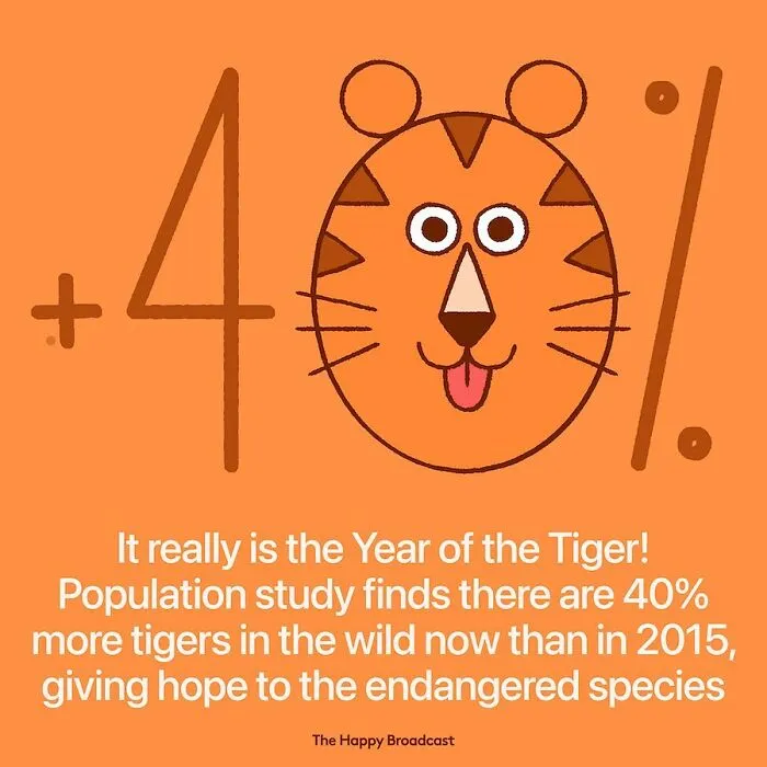 I’m Honestly Fed Up With All The Bad News, So I Illustrated 30 Of The Best Ones From 2022