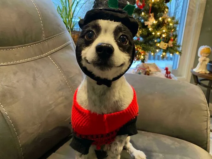 It’s Beginning To Look A Lot Like Christmas