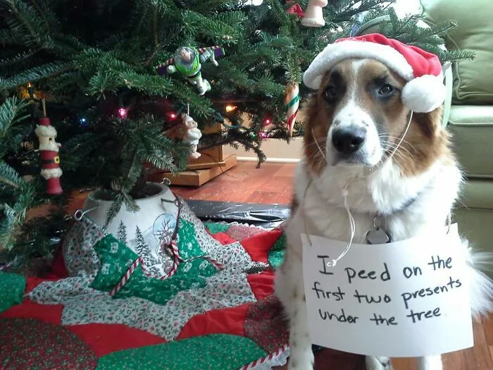 He's Back. And This Time He's Out To Ruin Christmas
