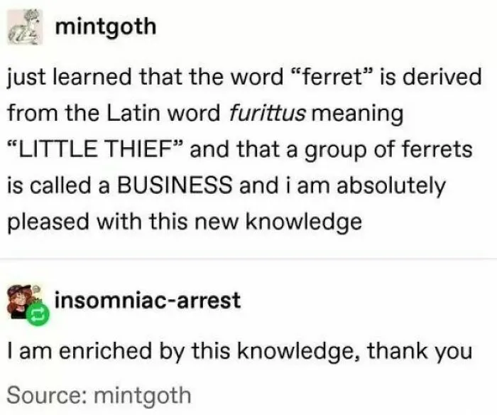 This Facebook Page Makes It Clear How Silly Linguistics Is, Here Are 40 Of Their Funniest Posts