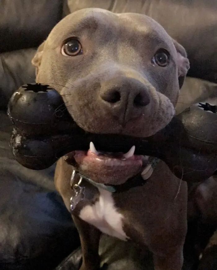 She's In Love With Her Christmas Gift