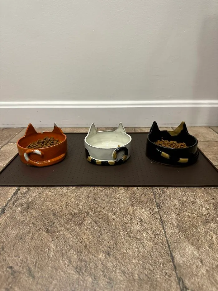 Hice tazones personalizados para mis gatos
