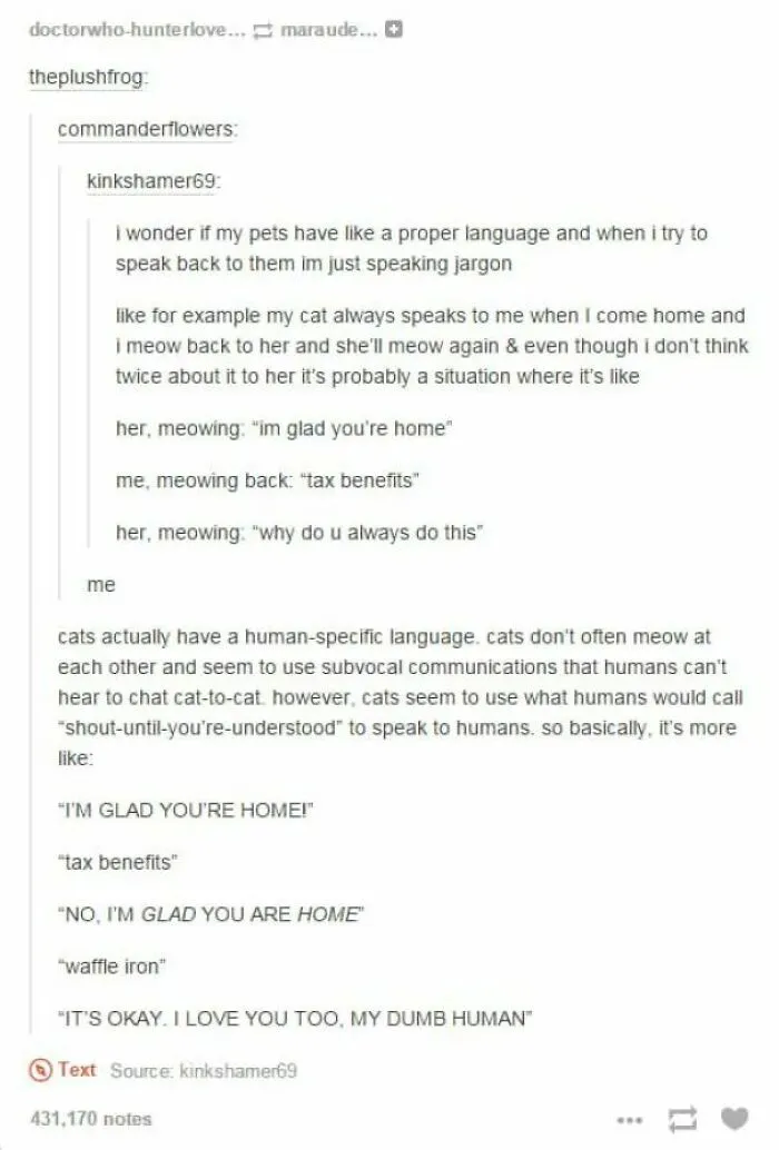 This Facebook Page Makes It Clear How Silly Linguistics Is, Here Are 40 Of Their Funniest Posts