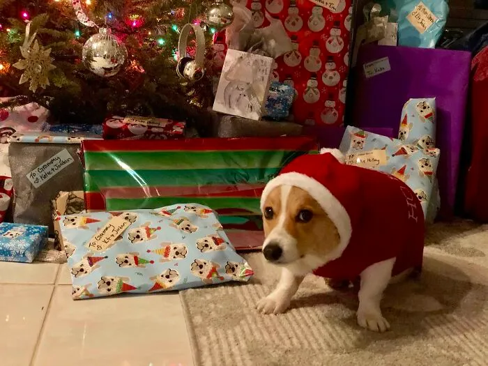 Have Yourself A Very Awkward Christmas...