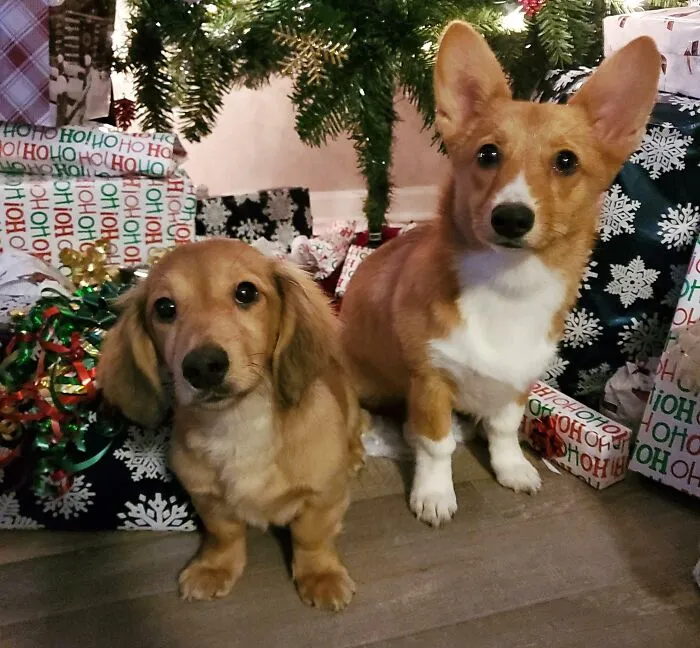 First Christmas