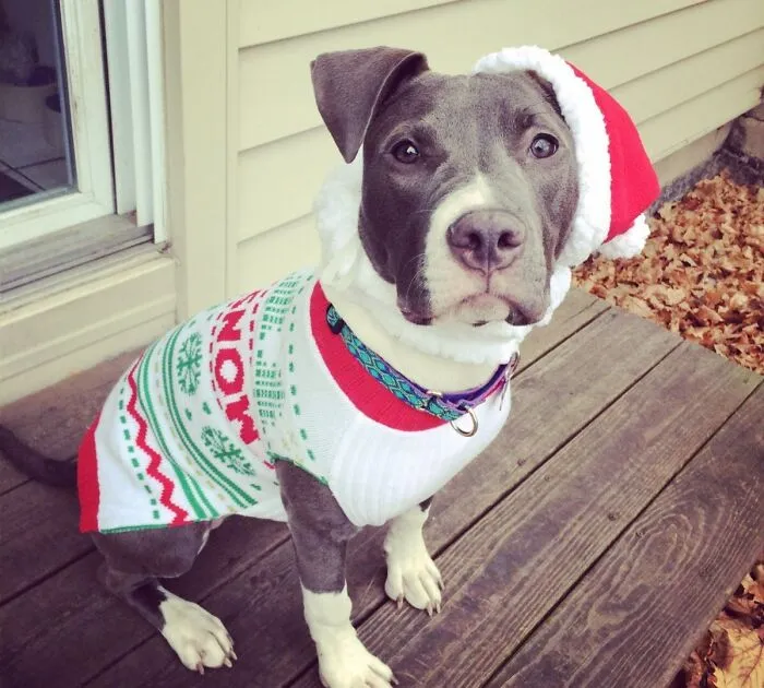 Maeby Is All Ready For Christmas!
