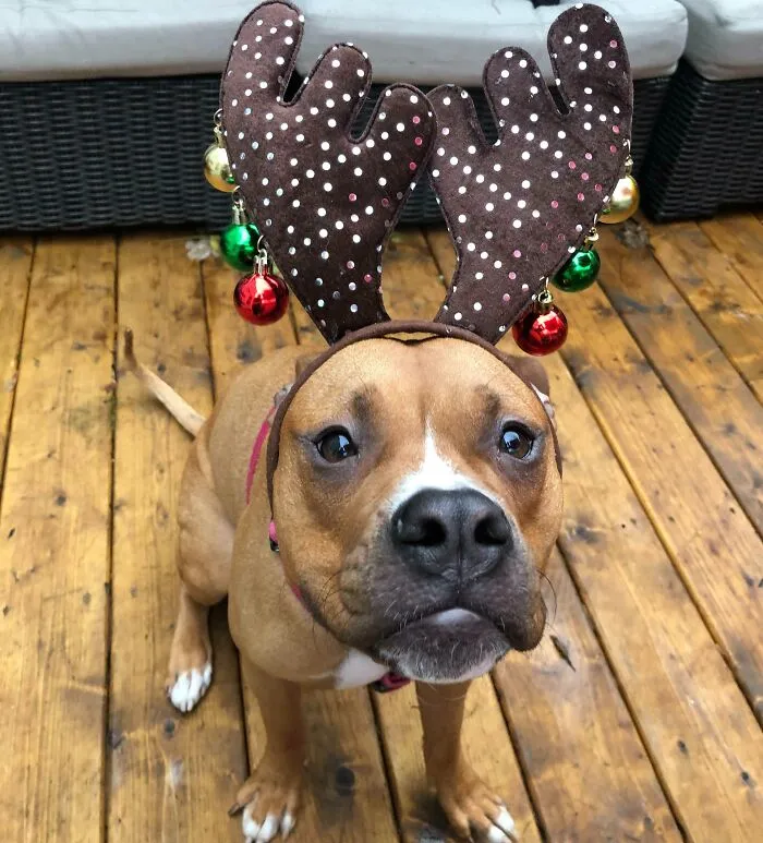 She’s Ready For Christmas