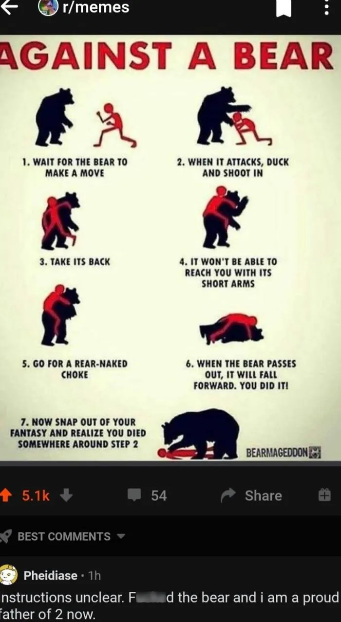 Against A Bear